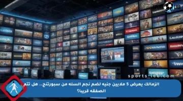 الزمالك يعرض 5 ملايين جنيه لضم نجم السلة من سبورتنج.. هل تتم الصفقة قريبا؟
